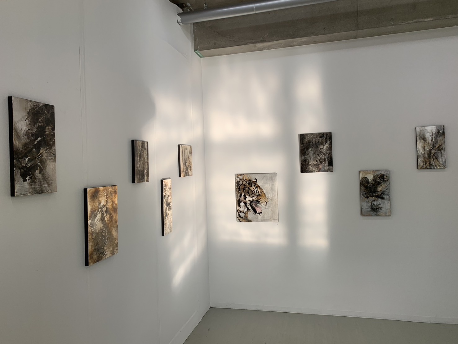 畑山輝太 プロフィール画像2